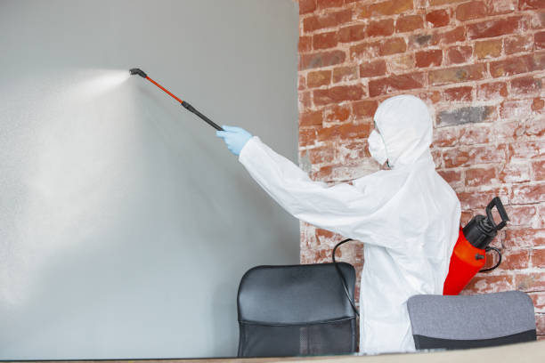 Best Commercial Mold Inspection  in , MS