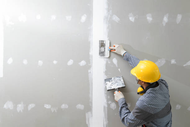 Best Mold Odor Removal Services  in , MS