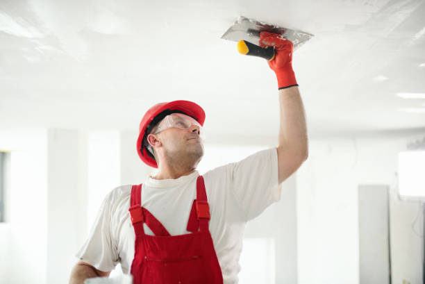 Best Mold-Related Health Consultation  in , MS