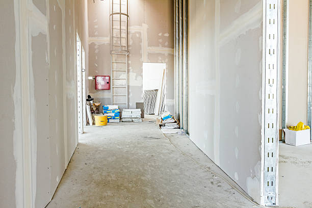 Best Biohazard Mold Removal  in , MS